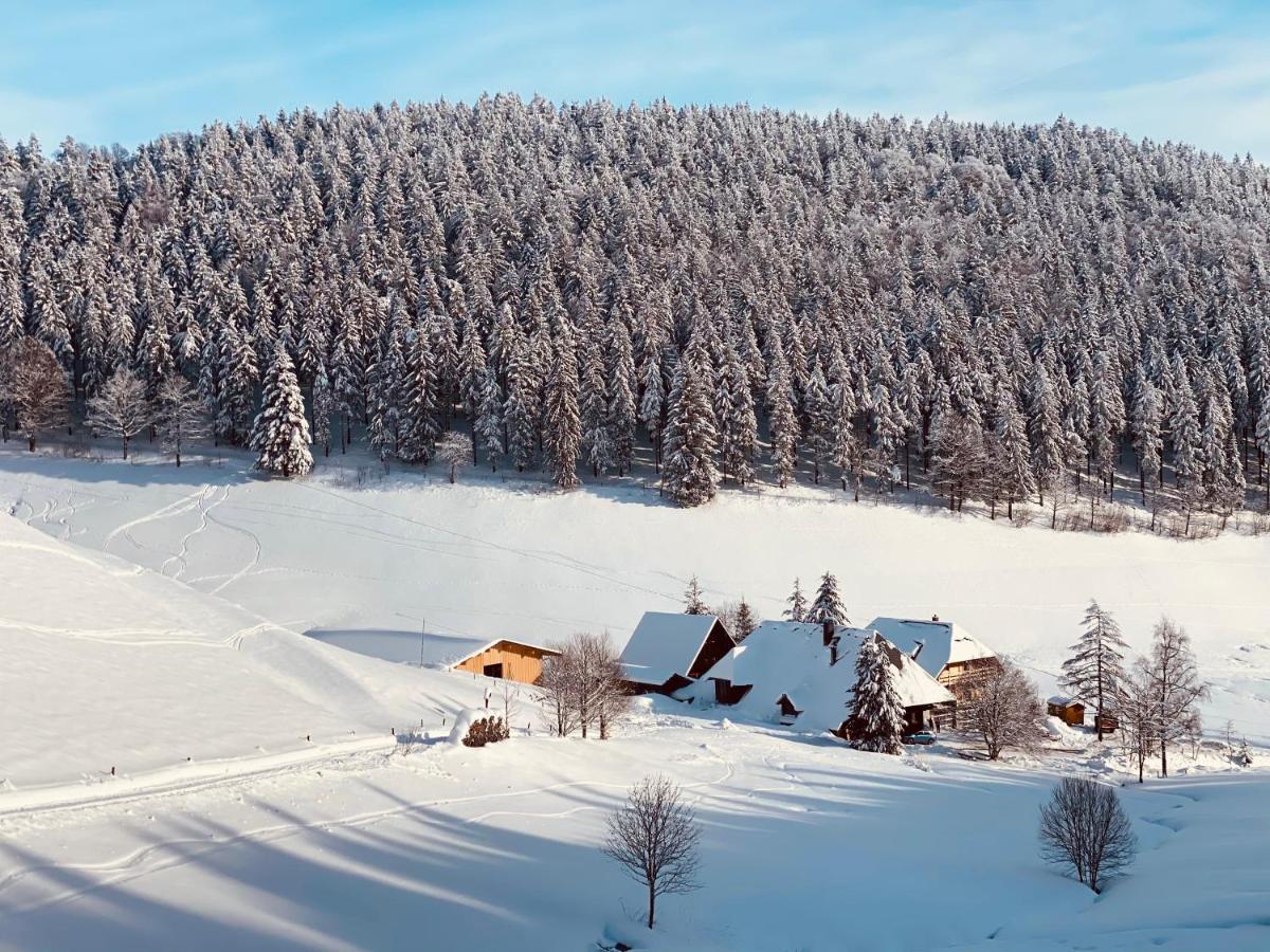 No 19 In The Black Forest St. Blasien Exterior foto